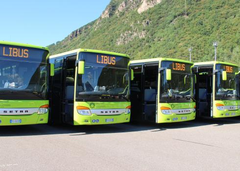 Der Neuorganisation der öffentlichen Busdienste gilt ein Hauptaugenmerk im Mobilitätsplan.